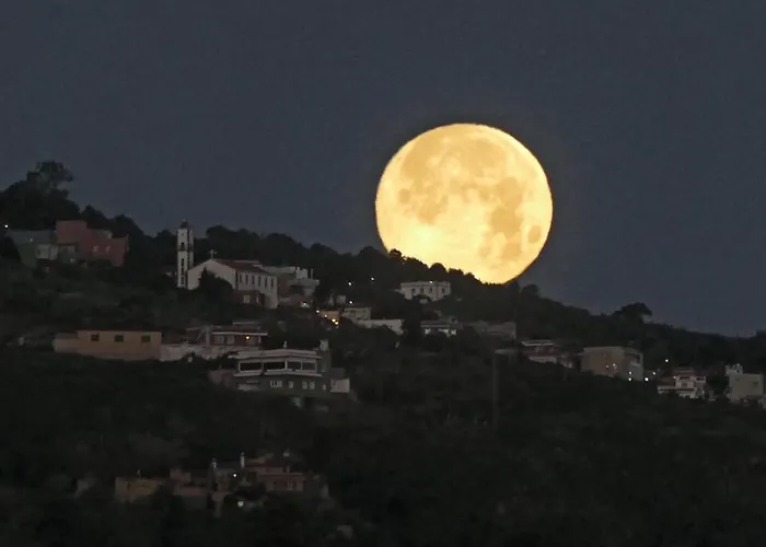 Casa Madera 1 Tatil Evi