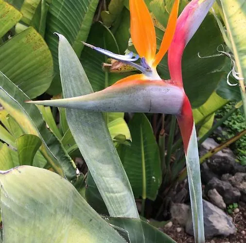 Casa Madera 1 Tatil Evi *