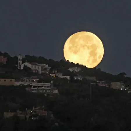 Casa Madera 1 別荘