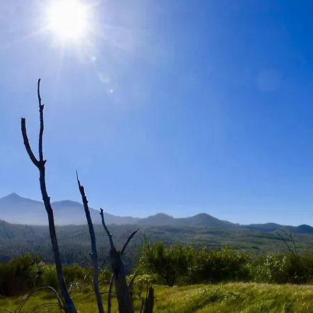 別荘 Casa Madera 1 *