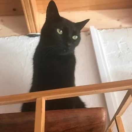 Casa Madera 1 Dom wakacyjny