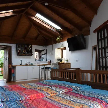 Casa Madera 1 伊科德·德·洛斯·维诺斯