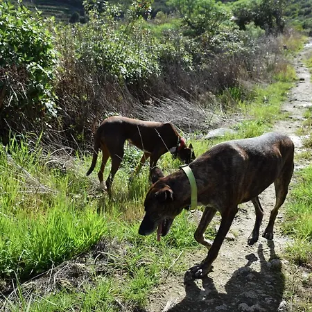 Casa Madera 1 Dom wakacyjny
