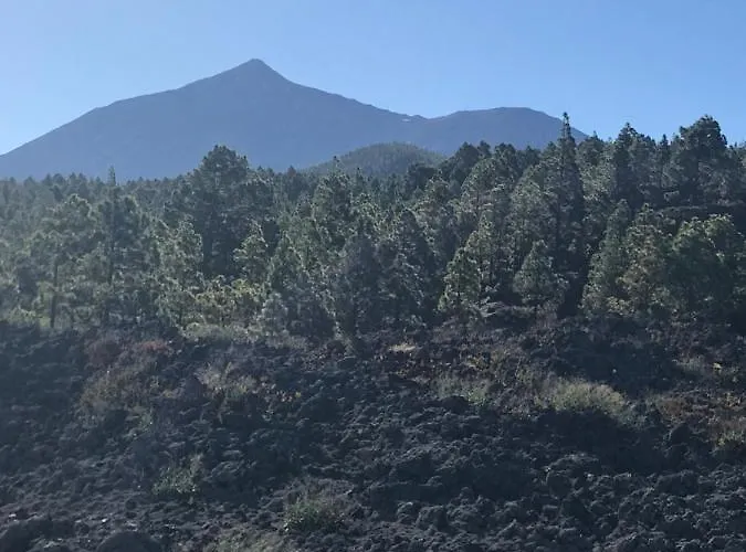 Casa Madera 1 Dom wakacyjny *