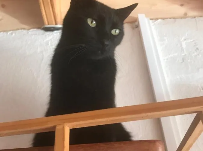 Casa Madera 1 度假居