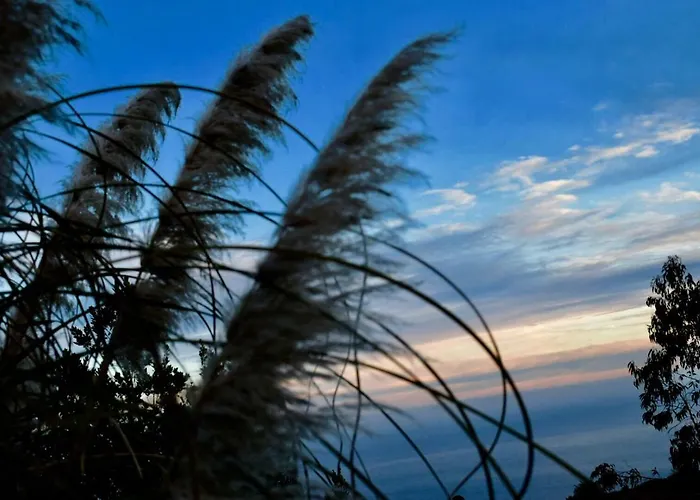 Casa Madera 1 Icod de los Vinos